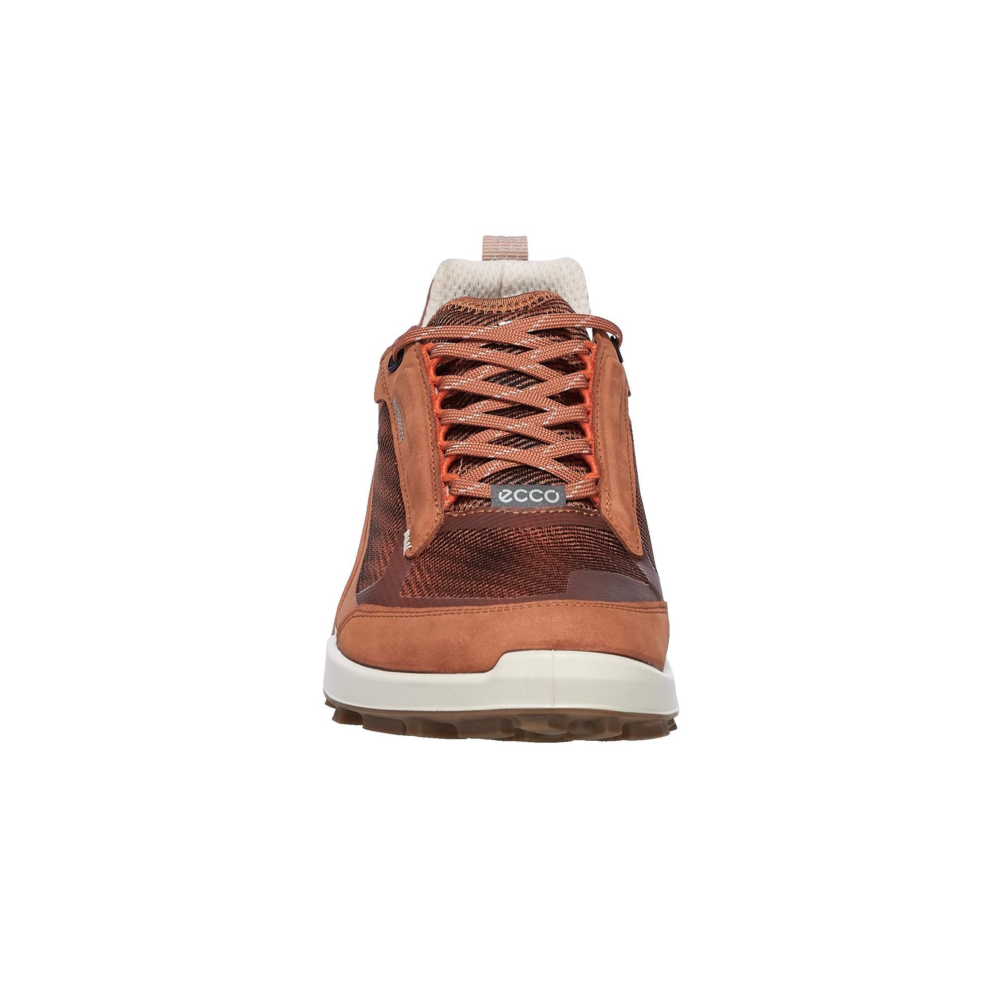 ECCO BIOM 2.1 X MOUNTAIN W Damen - Wanderstiefel