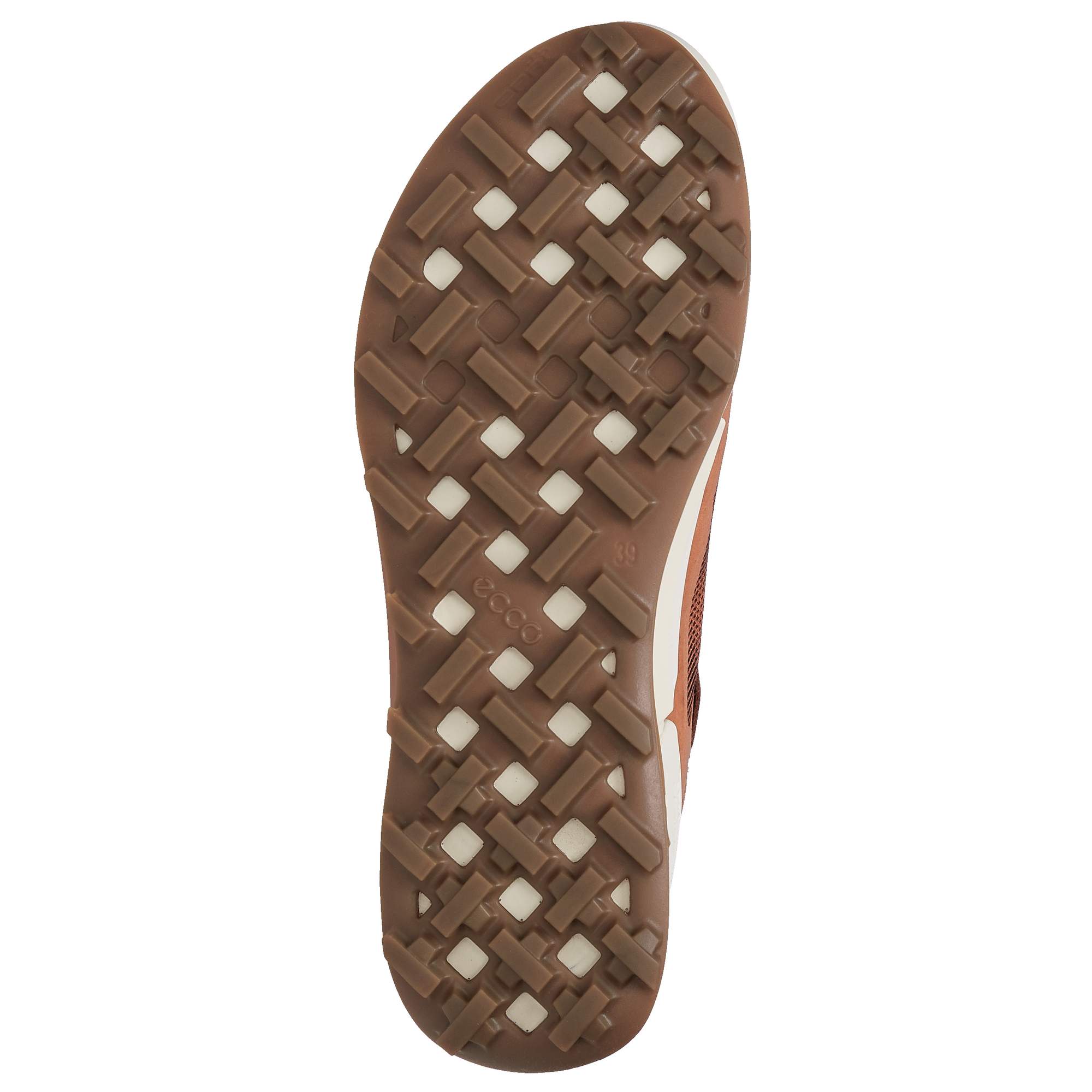 ECCO BIOM 2.1 X MOUNTAIN W Damen - Wanderstiefel