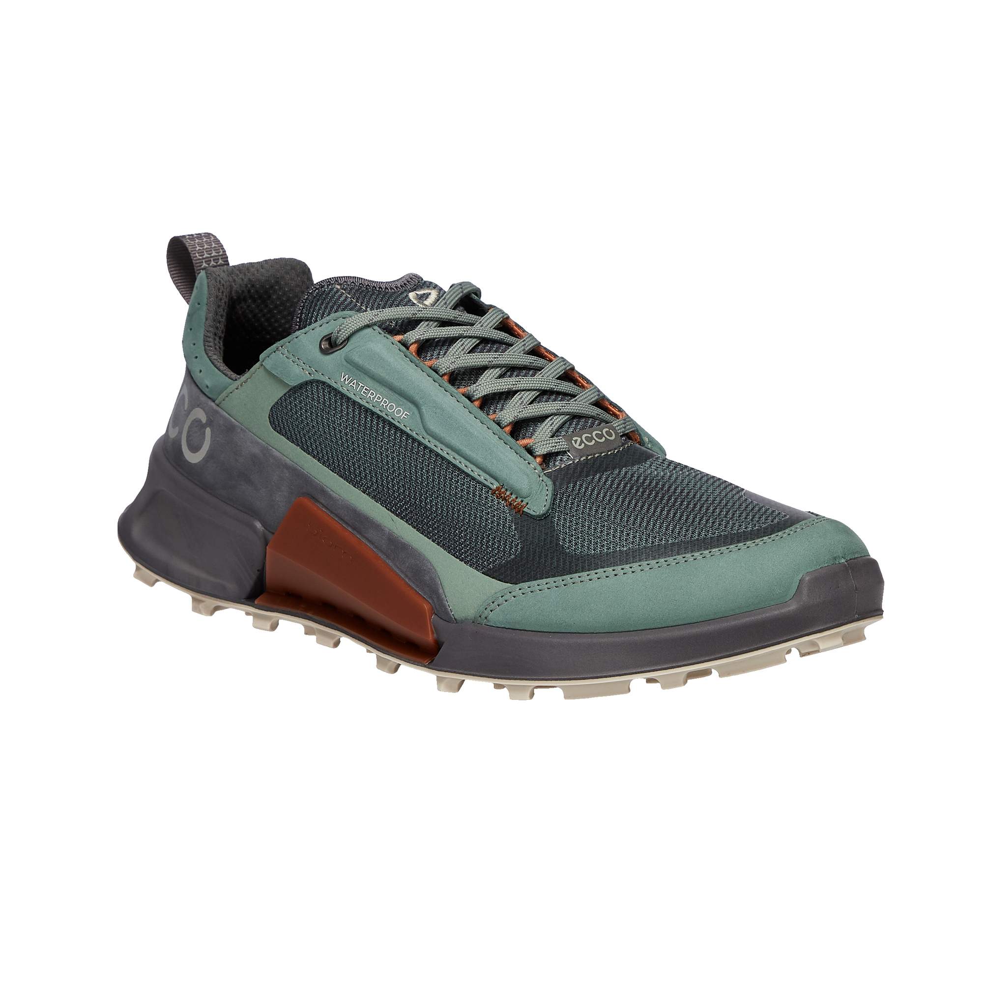 ECCO BIOM 2.1 X MOUNTAIN M Herren - Wanderstiefel