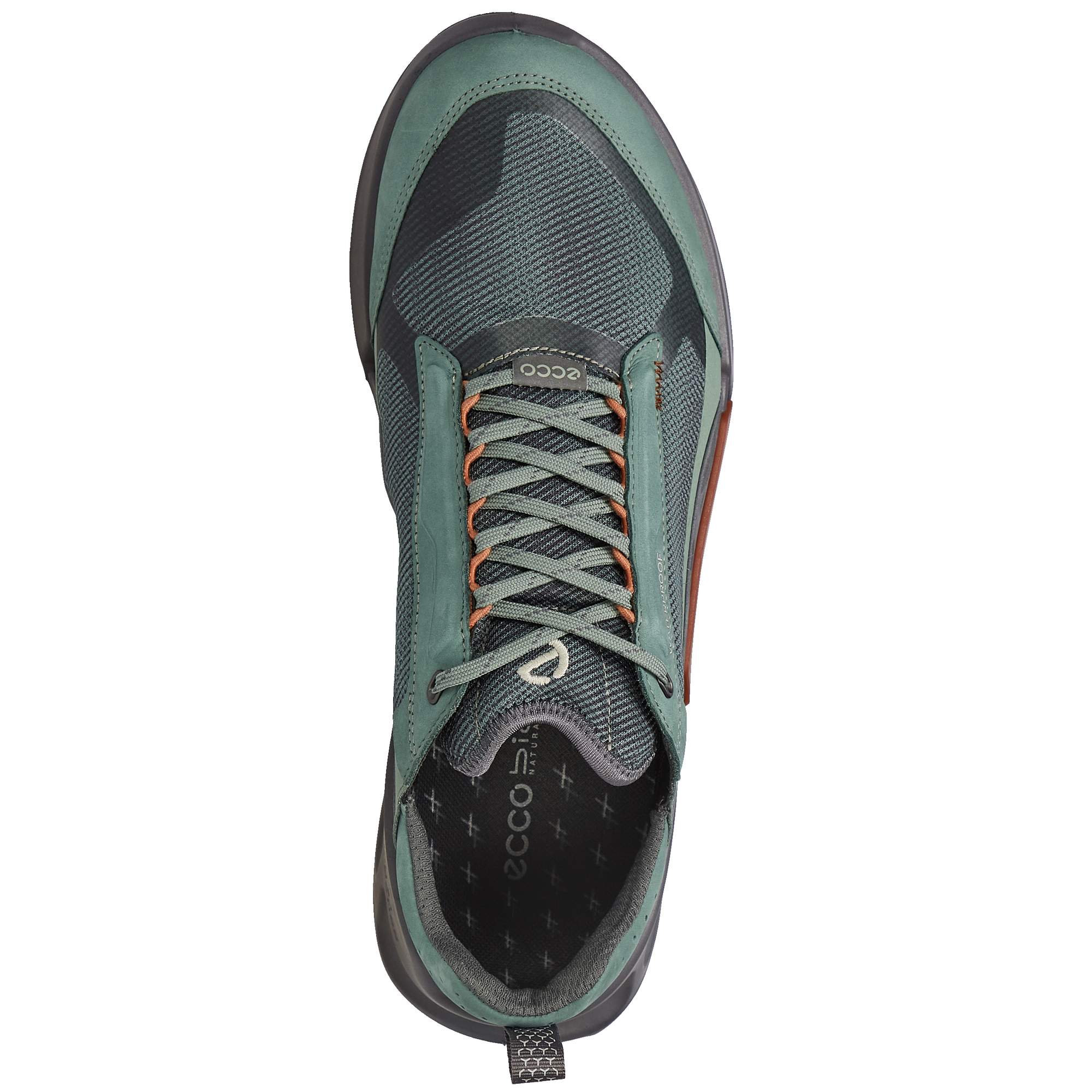 ECCO BIOM 2.1 X MOUNTAIN M Herren - Wanderstiefel